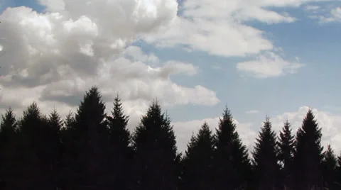 Tree with clouds Vidéo 28576019