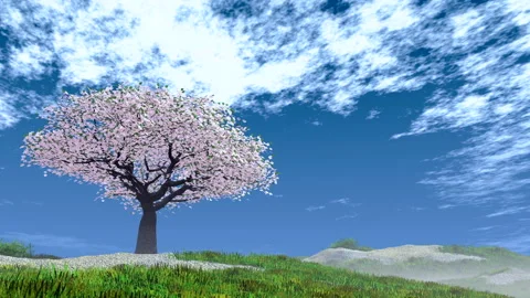 Tree with clouds Stock Footage 286877364