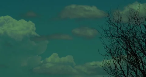 Tree with Clouds Stock Footage 292833575