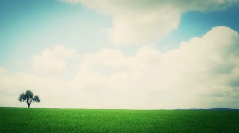 Tree, clouds timelapse diffrent color 4K Stock Footage 49960822