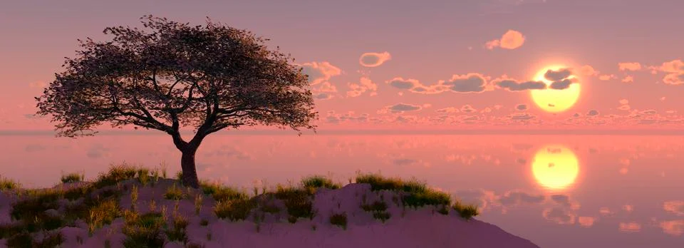 Tree on the coast Stock Illustration