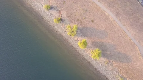 Tree coastline Stock Footage 123559981