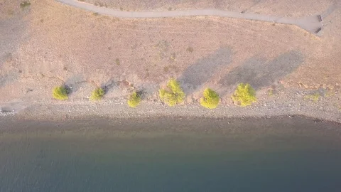 Tree coastline Stock Footage 123559989