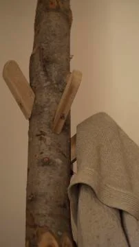 Tree coat hanger Stock Photos