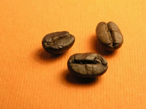 Tree Coffee-berrys Stock Photos