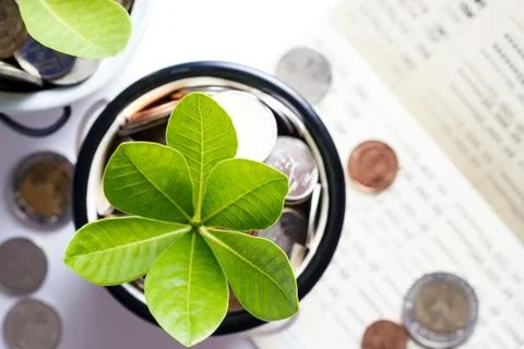 Tree of coins represented saving money and growing of business 스톡 사진
