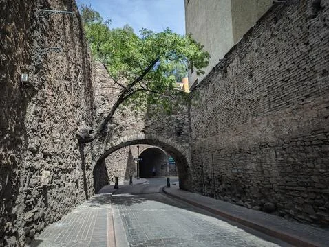 Tree on Colonial Wall Stock Photos
