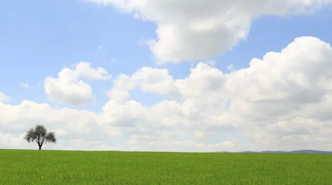 Tree in the corner and clouds timelapse 4K Stock Footage 49957299