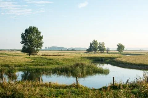 Tree on countryside with river Stock Photos