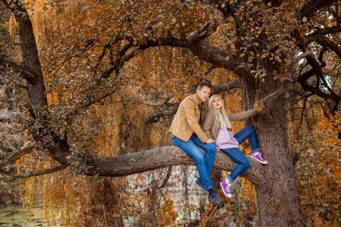 On tree is couple Foto stock
