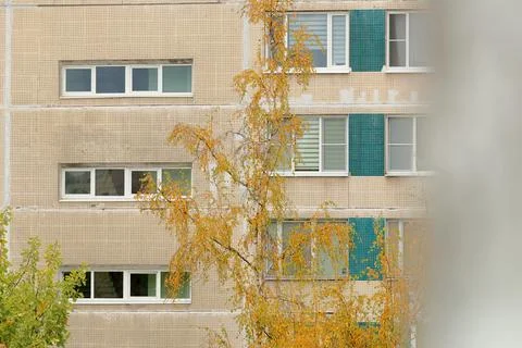 Tree in courtyard of a multi-storey building. landscaping of skyscraper Stock Photos
