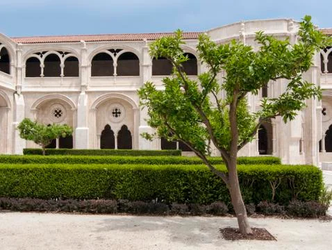 Tree in a courtyard Stock-Fotos