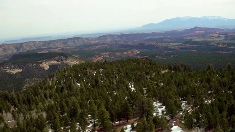 Tree Covered Canyon in Dixie National Forest Stock Footage 75871586