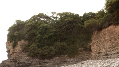 A Tree-Covered Cliff Stock-Footage 93702245