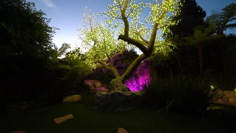 Tree covered in glowing fairy lights in a garden at dusk Stock Footage 345537386