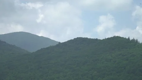 Tree covered hills Stockbeeldmateriaal 171340721