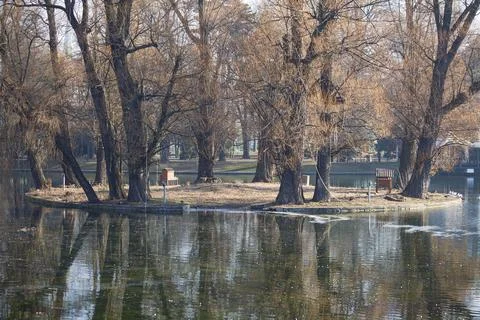 Tree-covered island with bench reflected in pond Stock Photos