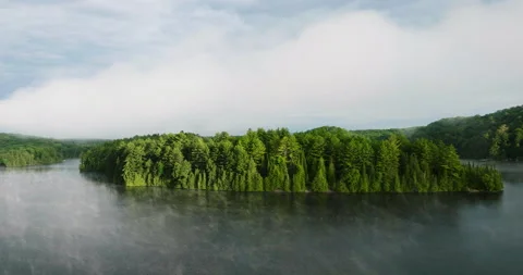 Tree covered island on a misty lake Stock Footage 199483019