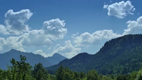 Tree covered landscape pan left Stock Footage 132687900
