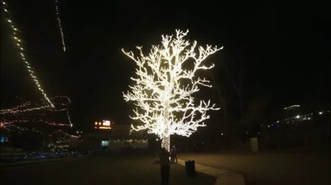 Tree Covered in Lights, Version #2 Video stock 12691023