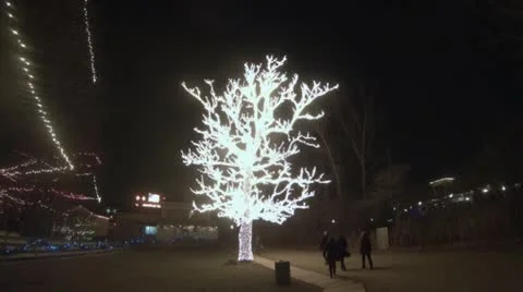 Tree Covered in Lights, Version #3 Stock Footage 12691018