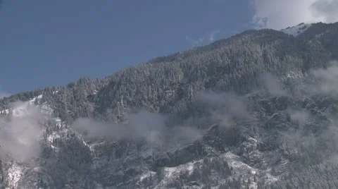 Tree-covered mountain flang in snow Video stock 10787626