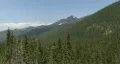 Tree Covered Mountains HD Footage