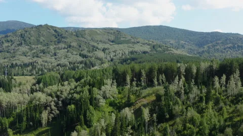 Tree-covered mountains Stock Footage 231363050