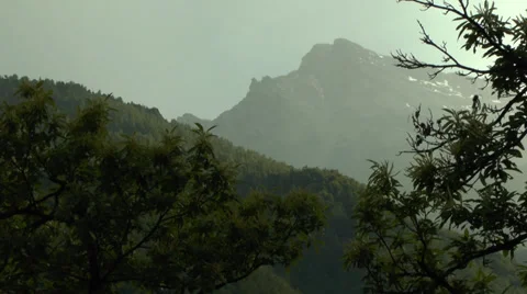 Tree-Covered Mountains with Tree Branches in the Foreground 2 Stock Footage 31228212