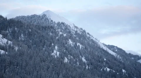 Tree Covered Mountainside 스톡 동영상 61017901
