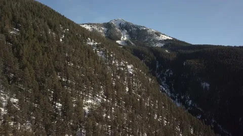 Tree covered mountainside in winter Stock Footage 166068555