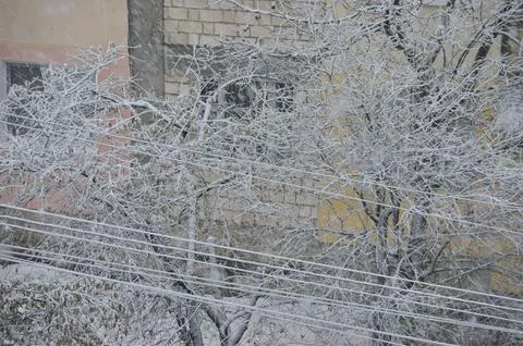 A tree covered in snow and a wire line.  Stock Photos