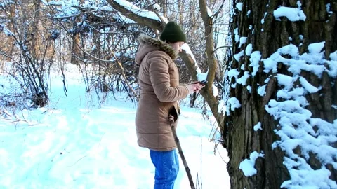 Tree covered in snow with a branch sticking out Stock Footage 304431443