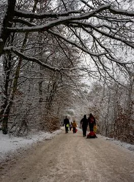 A tree covered in snow a crispy cold winter day in a forest. Picture from Scania Stock Photos