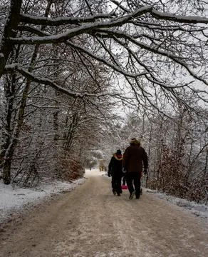 A tree covered in snow a crispy cold winter day in a forest. Picture from Scania Stock Photos