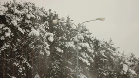 Tree covered with snow during winter with sky background Vídeos de archivo 146638203