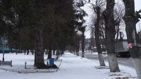 A tree covered in snow Stock Footage 130505035