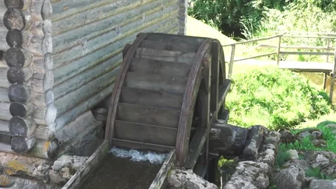 A tree covered in snow Stock Footage 131956873