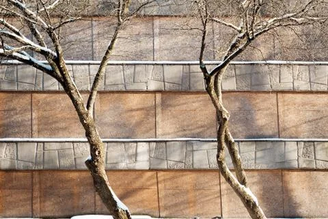 Tree covered by snow Stock Photos