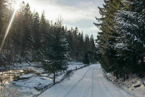 A tree covered in snow Stock Photos