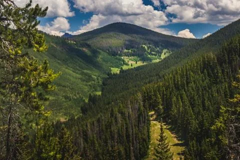 Tree-Covered Vail Mountain Foto stock