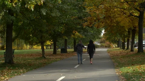 Tree Covered Walking Trail in Autumn. 動画素材 68751554
