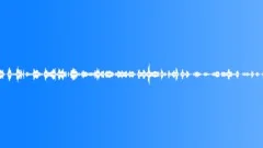 Tree Creaks in theForest, the Birds are Singing - ambient, denoised loop 02Sound Effect