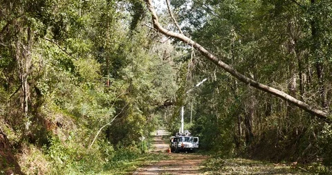 Tree crew clears power lines with bucket truck one day after Hurricane Michael Stock Footage 99030307