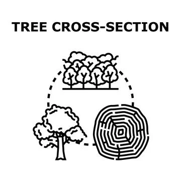 Tree cross section annual growth rings concept Ilustración de archivo