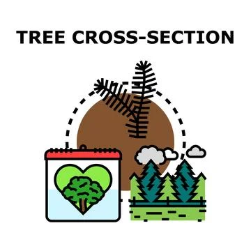 Tree cross section concept vector illustration ecology Stock Illustration