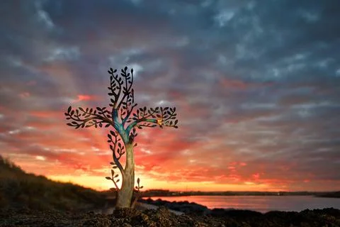 Tree Cross Sun River Back Light Stock Photos
