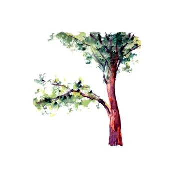 Tree crown with foliage Stock Illustration
