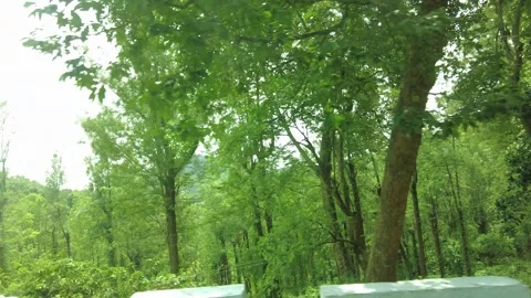 Tree crowns and an open treeline with distant forested ridges Stock Footage 346334744