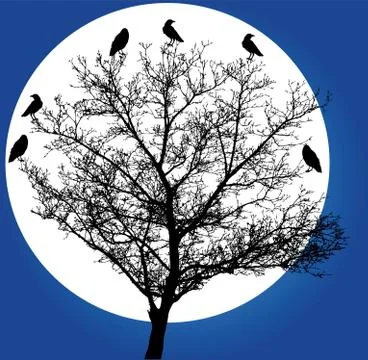 Tree crows Illustrazione stock